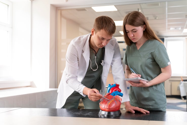What Does a Human organ transplant coordinator Do? A Complete Guide